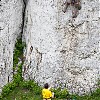  Inwazja żółtych koszulek. Fot. Piotr Drożdż
